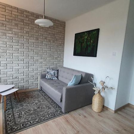 Przy Zamku Apartment Szczecin Exterior foto